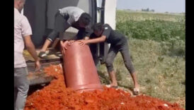 tarim ve orman bakanligi paylasti hatayda gida denetimi yEadVbrY