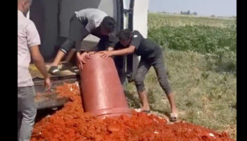 tarim ve orman bakanligi paylasti hatayda gida denetimi yEadVbrY