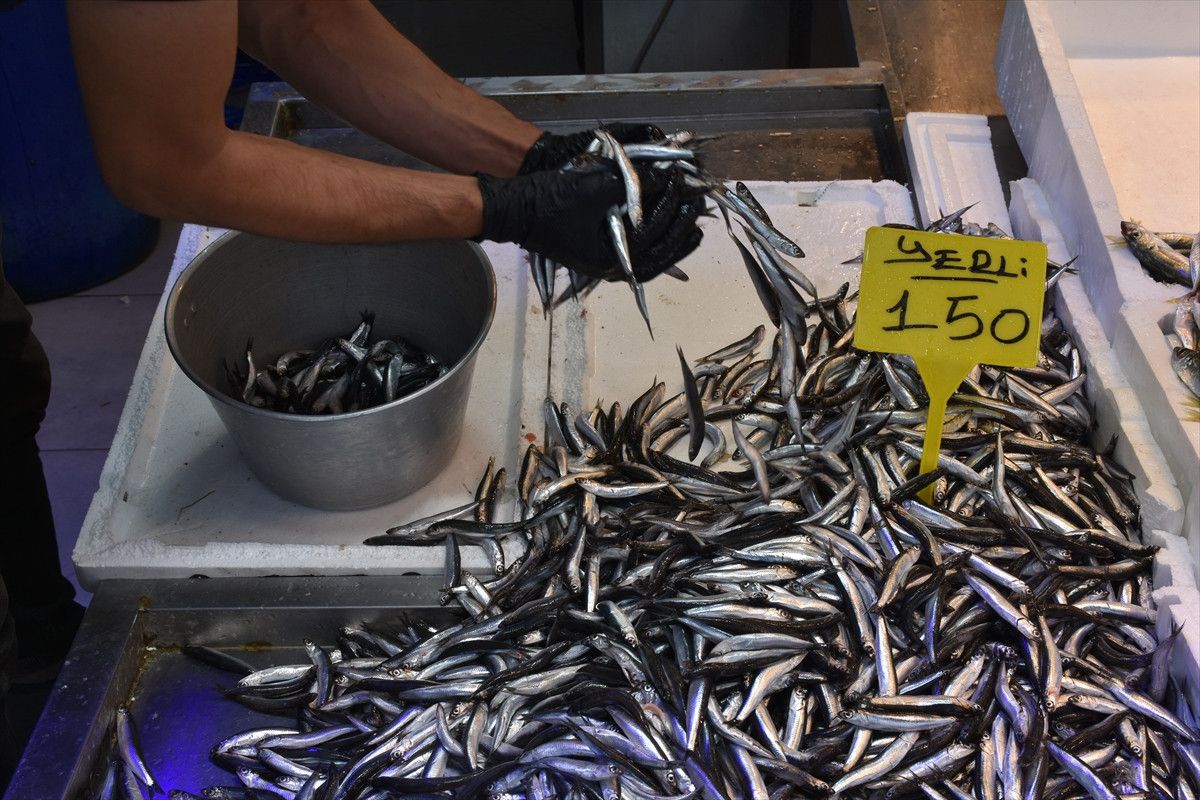 trabzonda hamsi ve istavrit 150 lira oldu 0 Et1vUR4j