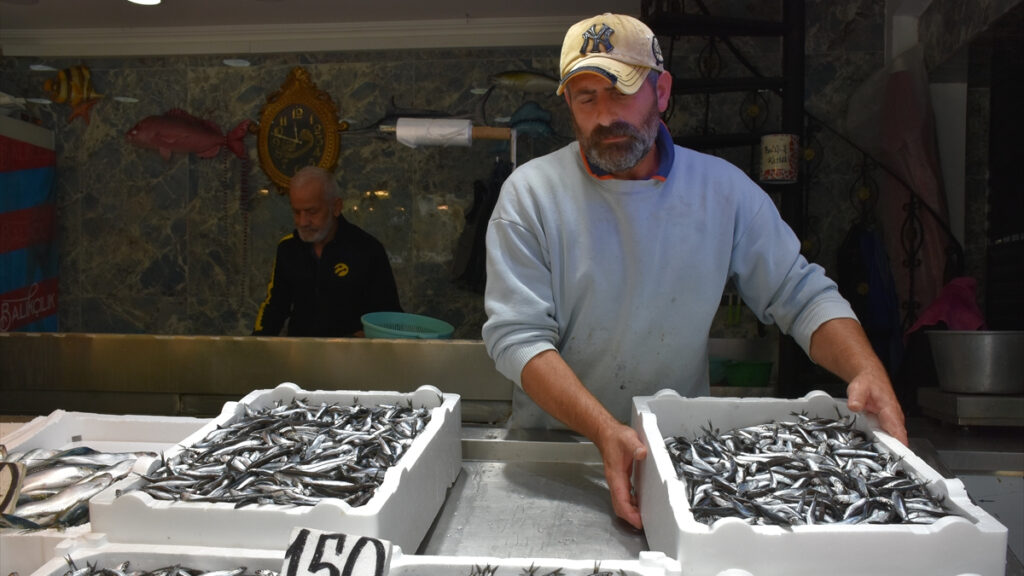 trabzonda hamsi ve istavrit 150 lira oldu VbQn1vRm