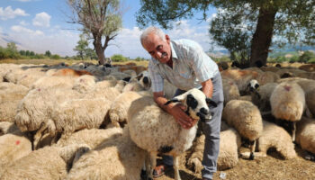 tuncelide coban ucretleri 130 bin lira oldu BlP6hwNq