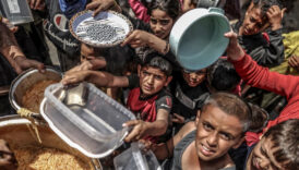 Türkiye UNESCO'nun Gazze'ye yardım fonuna katkı sağlayan ilk ülke oldu 2 turkiye unesconun gazzeye yardim fonuna katki saglayan ilk ulke oldu CajgXxp2