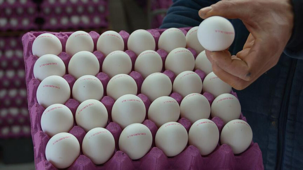 turkiyenin abdye yumurta ihracati yuzde 406 artti pCwdIZ8A