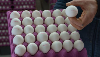 turkiyenin abdye yumurta ihracati yuzde 406 artti pCwdIZ8A