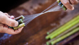 yalnizca birkac ulkede yetiyor dunyanin en pahali kumasi oluyor metresi 79 bin tlden satiliyor 2MV5avN8