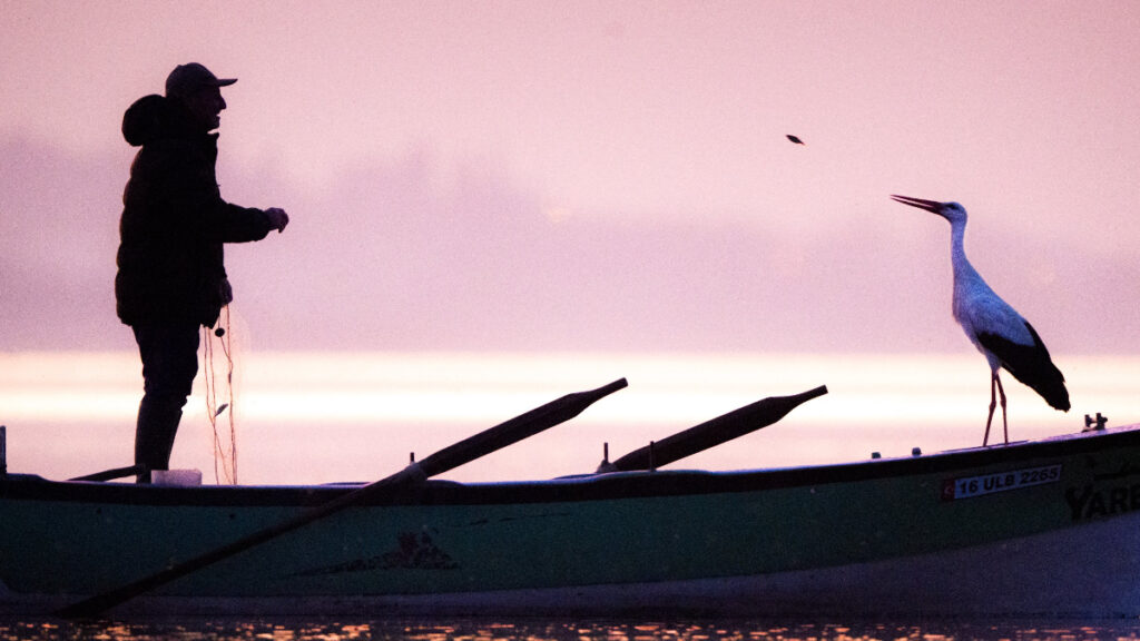 yaren leylek eylulu beklemeden gitti smED77h4