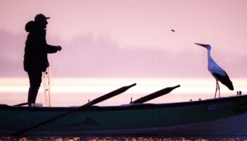 yaren leylek eylulu beklemeden gitti smED77h4