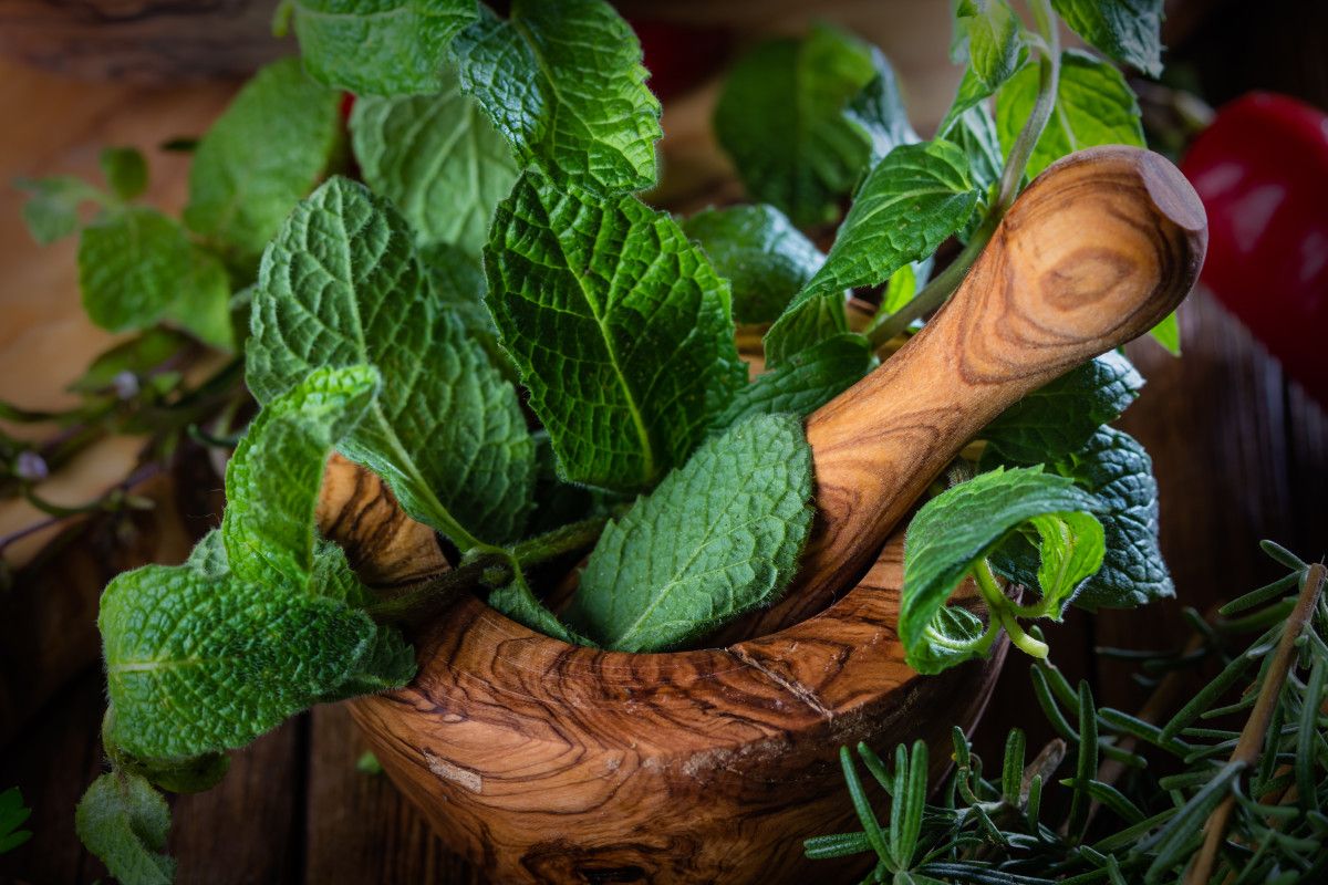 yolculuga cikmak kabus olmasin mide bulantisini engelleyen besinler 2 FLOttqcd