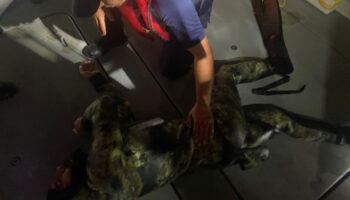 yuzerek yunanistana gecmeye calisan kacak gocmen yakalandi uQmwdBkK