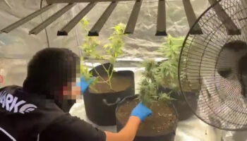 adanada evde iklimlendirme sistemiyle uyusturucu ureten supheli yakalandi ZIgvvEbc