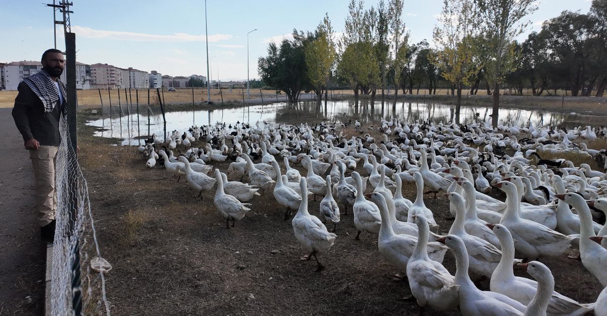 agrida islik sesiyle yuzlerce kanatli hayvani etrafina topluyor 2 YX1mYfzL