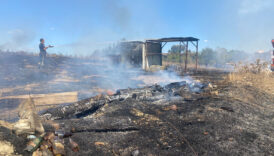 antalyada yangin 25 guvercin telef oldu smHueVw6