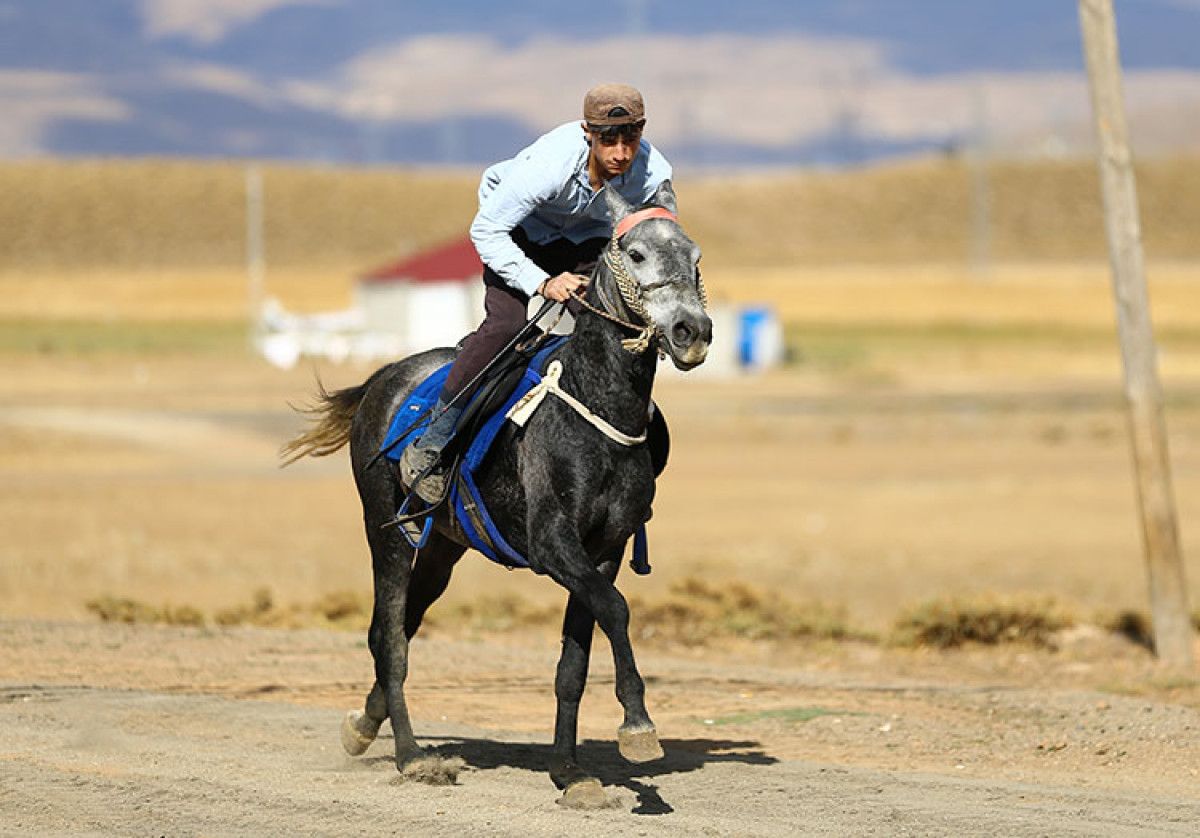 bingolde at yetistiriciligi kulturel miras olarak yasatiliyor 1 CGKuMPNn