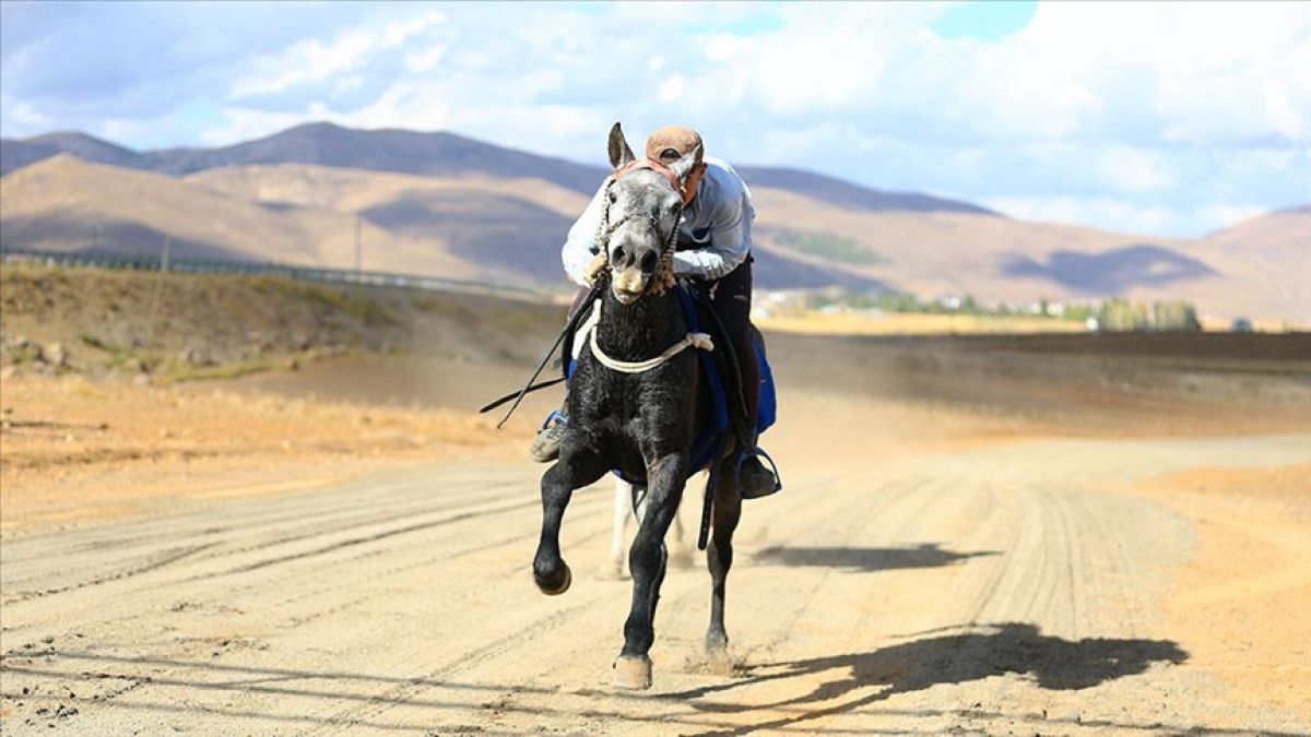 bingolde at yetistiriciligi kulturel miras olarak yasatiliyor 5 gYjff1hR