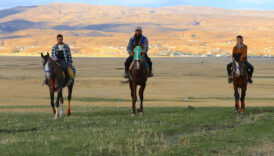 bingolde at yetistiriciligi kulturel miras olarak yasatiliyor aKWk32Ly