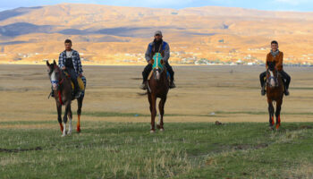 bingolde at yetistiriciligi kulturel miras olarak yasatiliyor aKWk32Ly