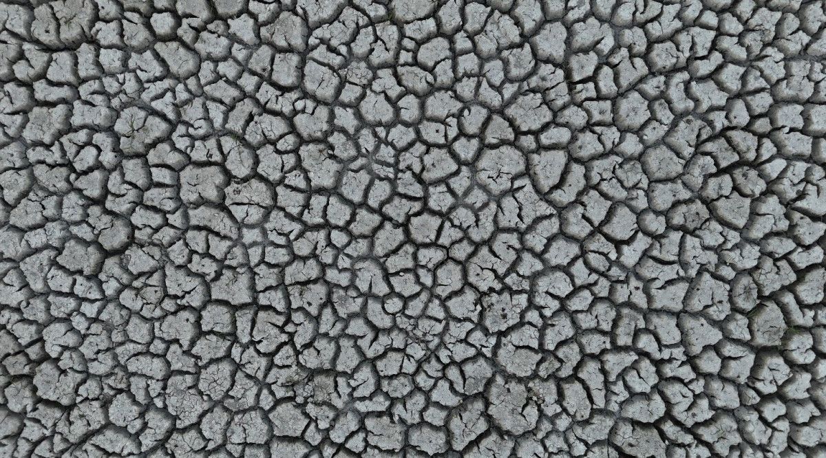 Eğirdir Gölü'nde tarihi kuraklık: İkiye bölündü 5 egirdir golunde tarihi kuraklik ikiye bolundu 4 ADGHRQCp