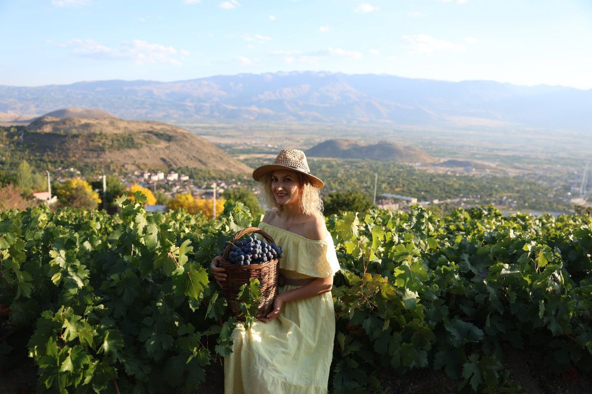 erzincanda iki asirlik baglarda bereketli hasad 0 zvXeUjz5