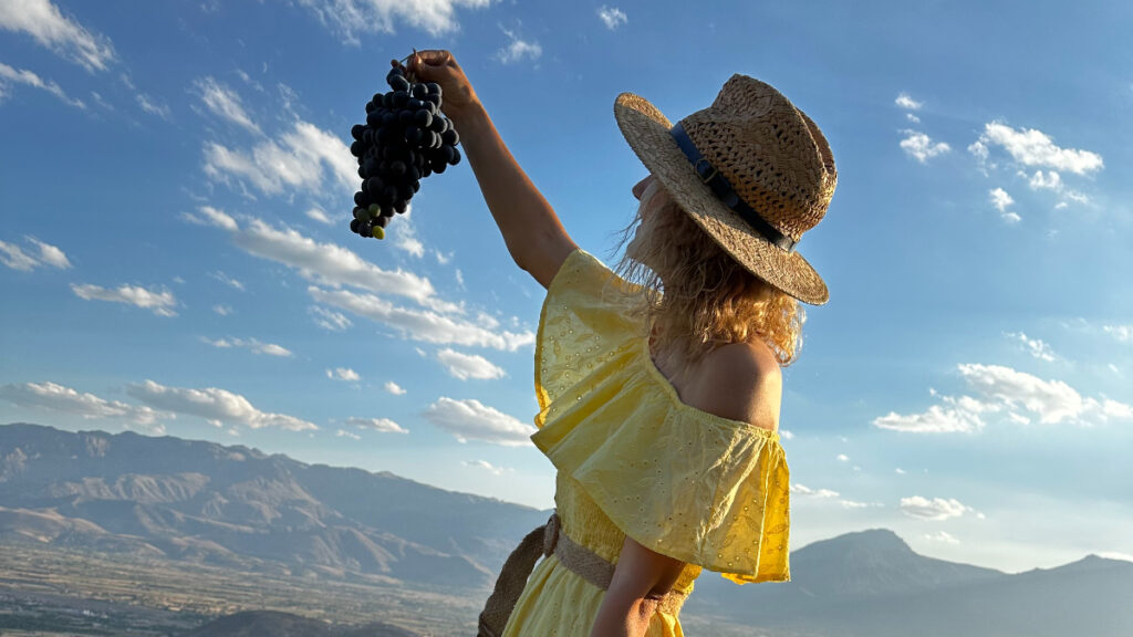 erzincanda iki asirlik baglarda bereketli hasad YaRQwlj1