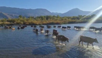 erzincanda kuraklik etkisini gosterdi rjK2aiSD