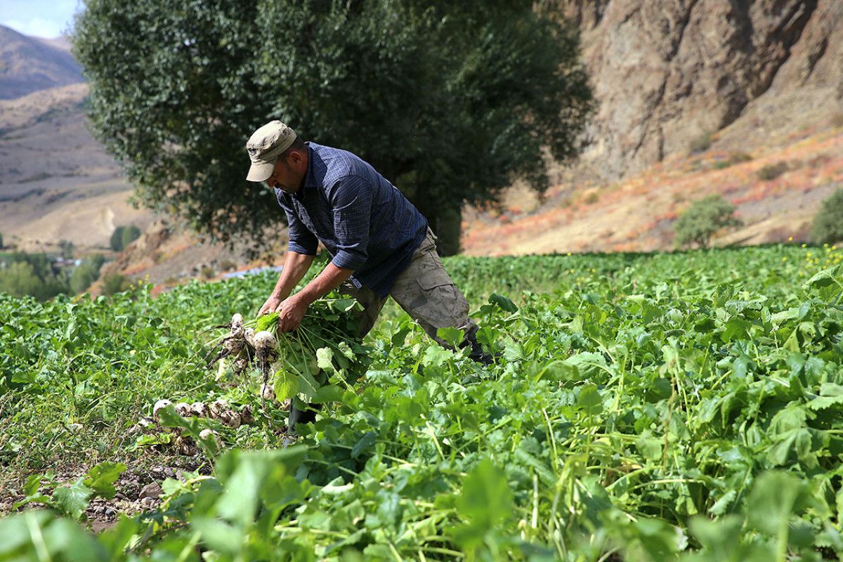 erzurumda 600 yillik salgam yikama gelenegi 0 glraQHAV