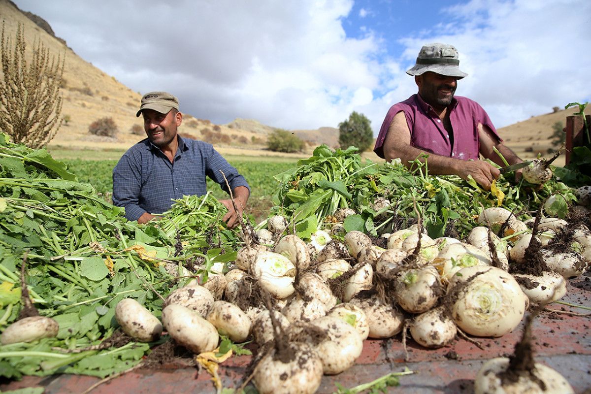erzurumda 600 yillik salgam yikama gelenegi 2 IC7tdmhR