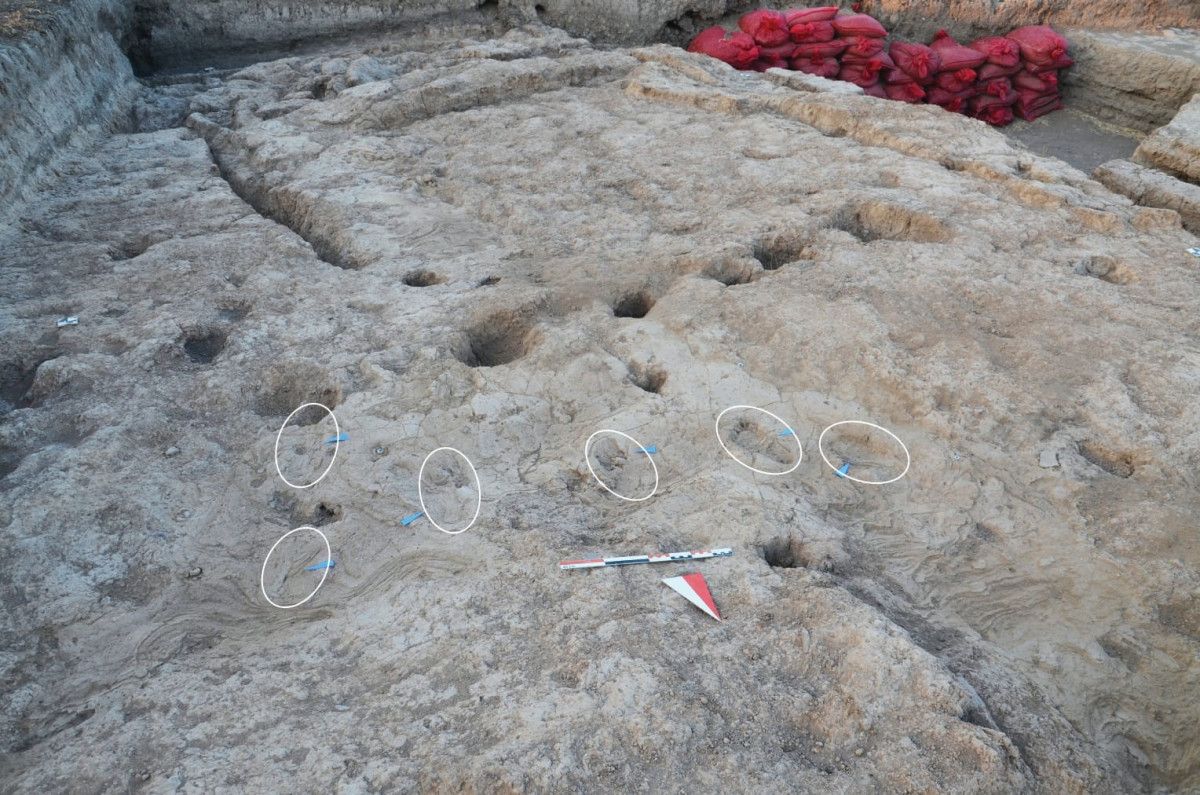 hatayda 7 bin yil oncesine ait insan ayak izleri bulundu 3 z8VA9749