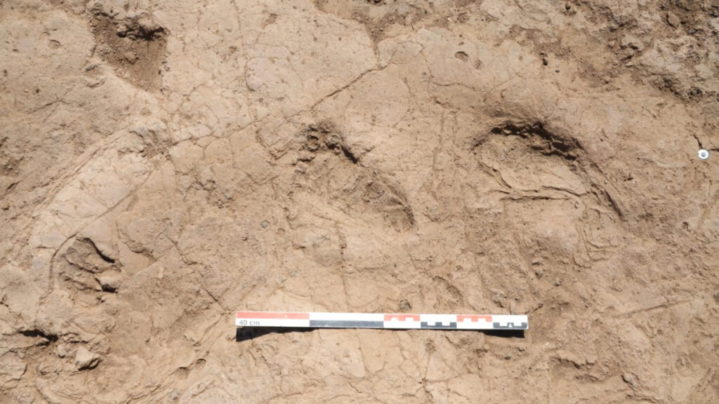 hatayda 7 bin yil oncesine ait insan ayak izleri bulundu W4q2zLMt