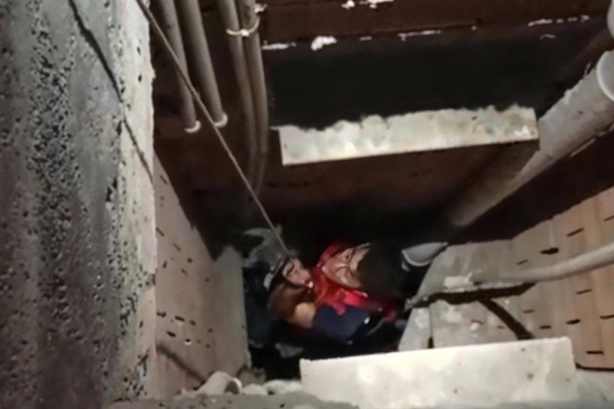 hatayda 7 metrelik bosluga dusen kedi kurtarildi 0 qhmOIWOT