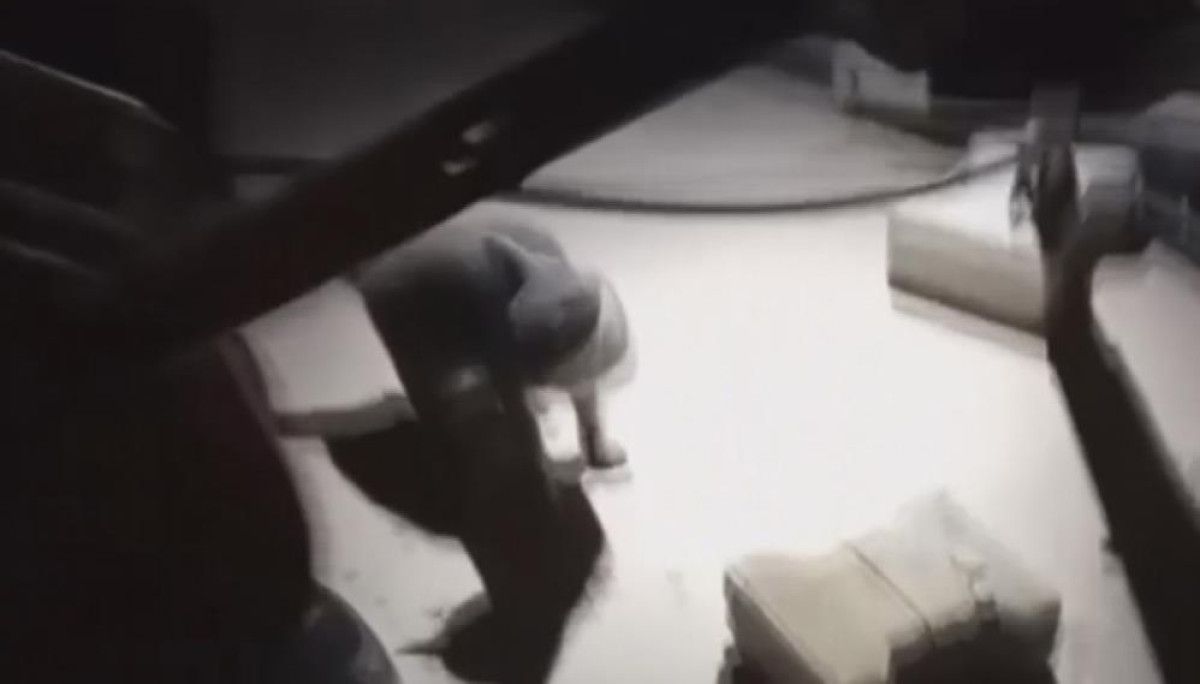 hatayda 7 metrelik bosluga dusen kedi kurtarildi 2 4DueIlOa