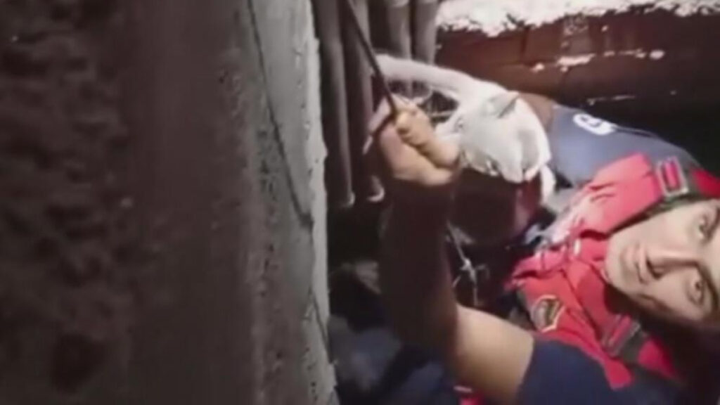 hatayda 7 metrelik bosluga dusen kedi kurtarildi q8CquFDL