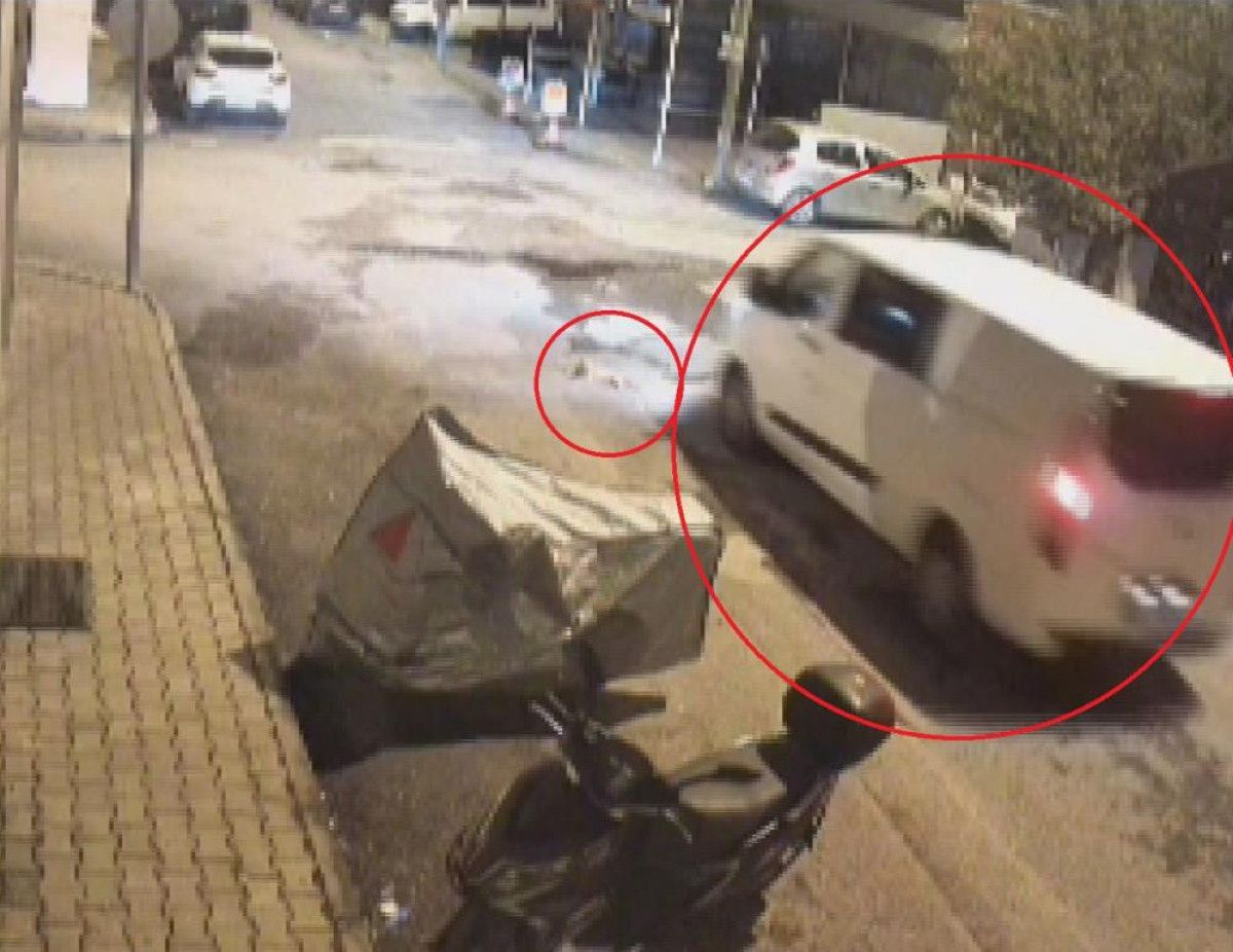 hatayda minibus surucusu ezdigi kediye aldirmadan yoluna devam etti 0 6FtLjVgb