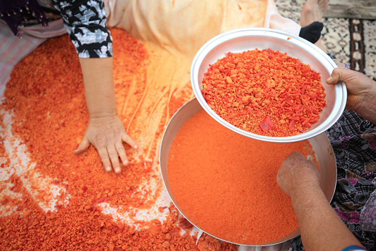 her gun tuketin bagirsaklari yenileyen 5 gida 4 WWuS7NLH