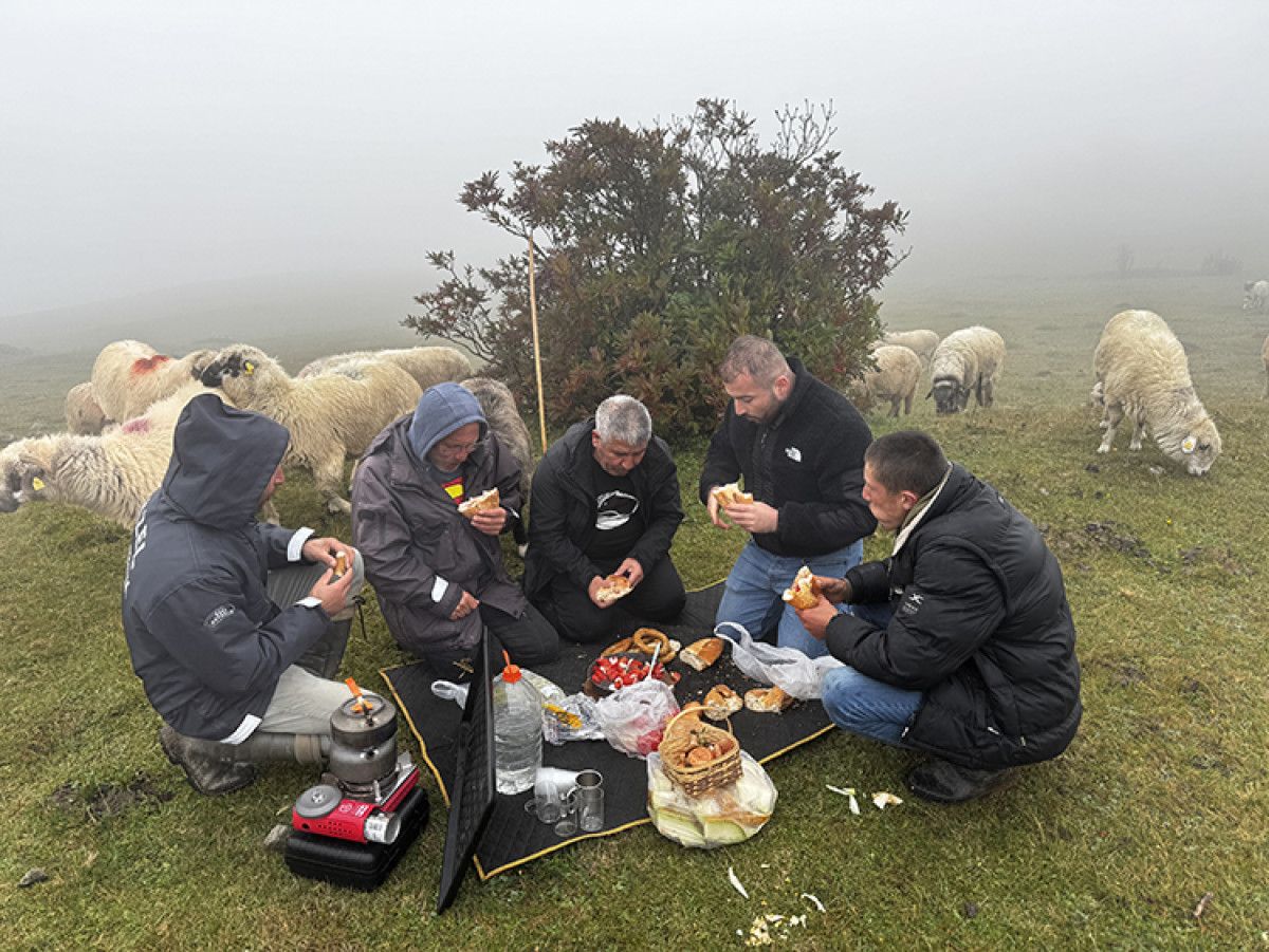 karadenizde yaylalardan zorlu donus 1 NNyTilJB