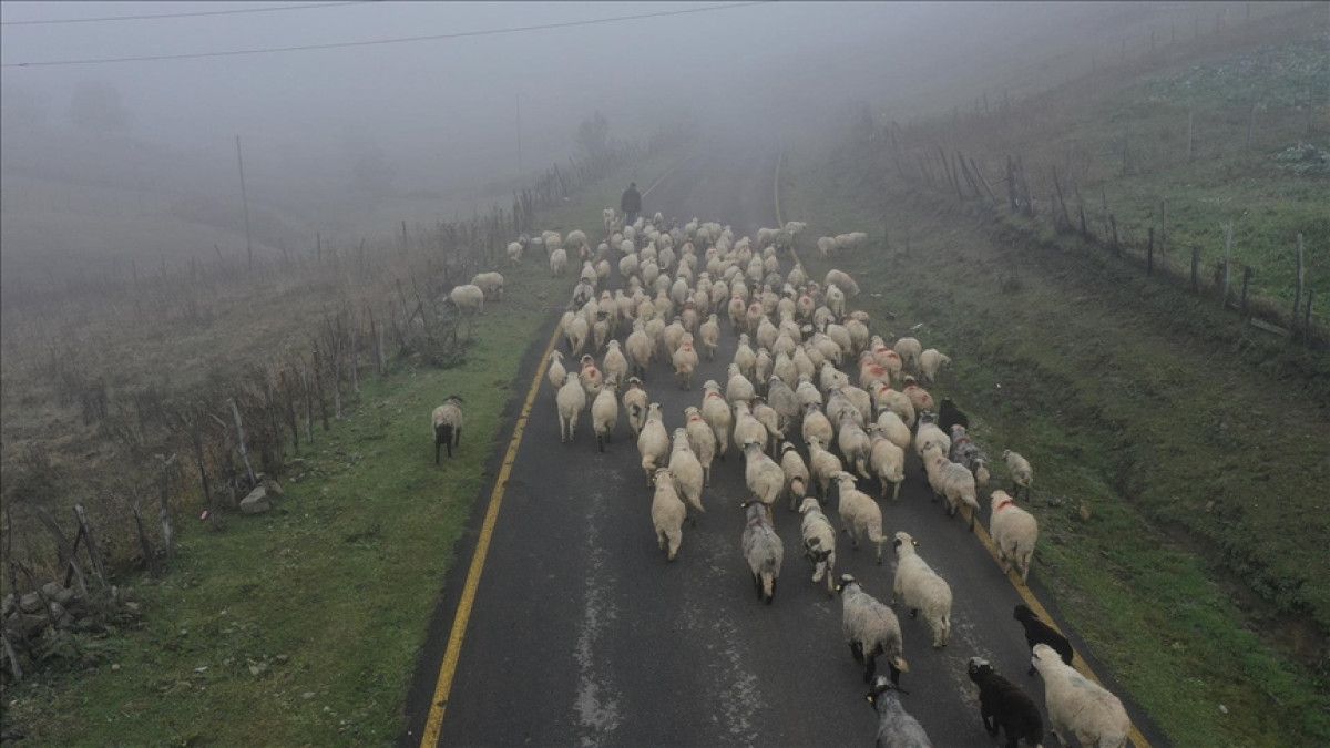 karadenizde yaylalardan zorlu donus 4 tUTpKOiU
