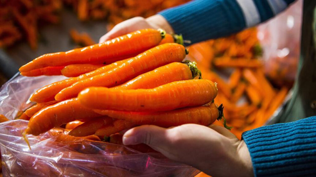 mucizevi etkileri bulunuyor her gun 1 adet havuc tuketin jdLc2gz4