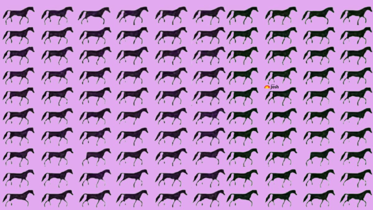 optik illuzyon atlara bakin uc ayaklilari yakalayin 0 8Z7pt3Al