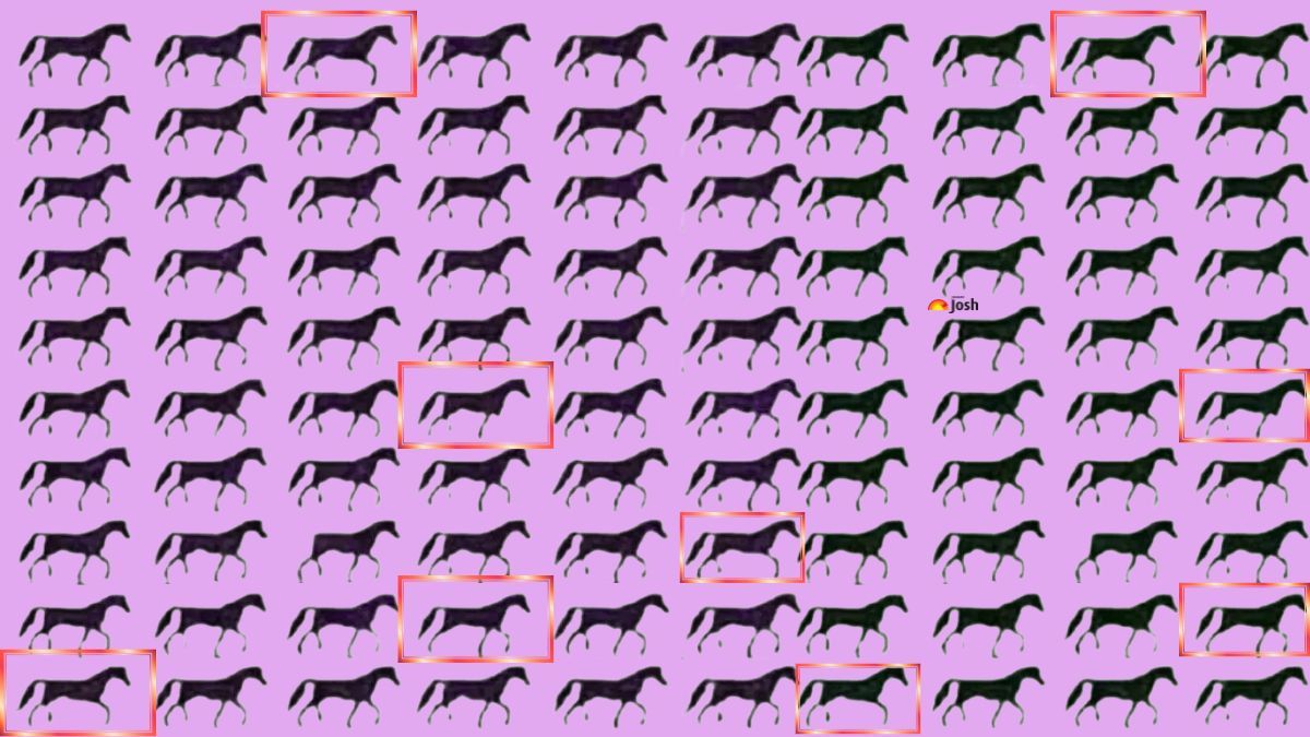 optik illuzyon atlara bakin uc ayaklilari yakalayin 1 pO7FZuw6