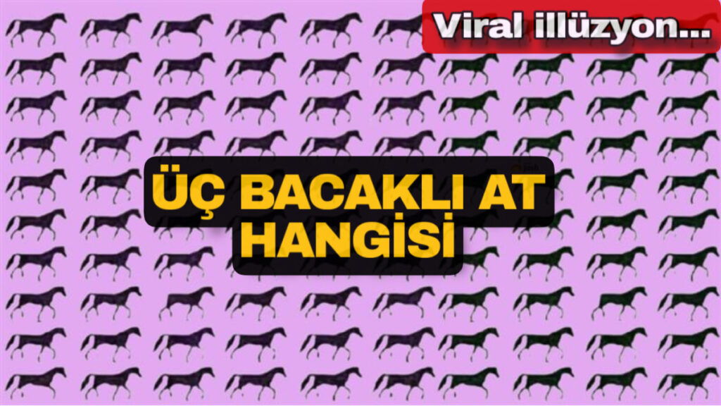 optik illuzyon atlara bakin uc ayaklilari yakalayin I8ZvhQgN