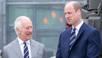 prens william kral oldugumda monarsiyi degistirecegim jhVLBAeE