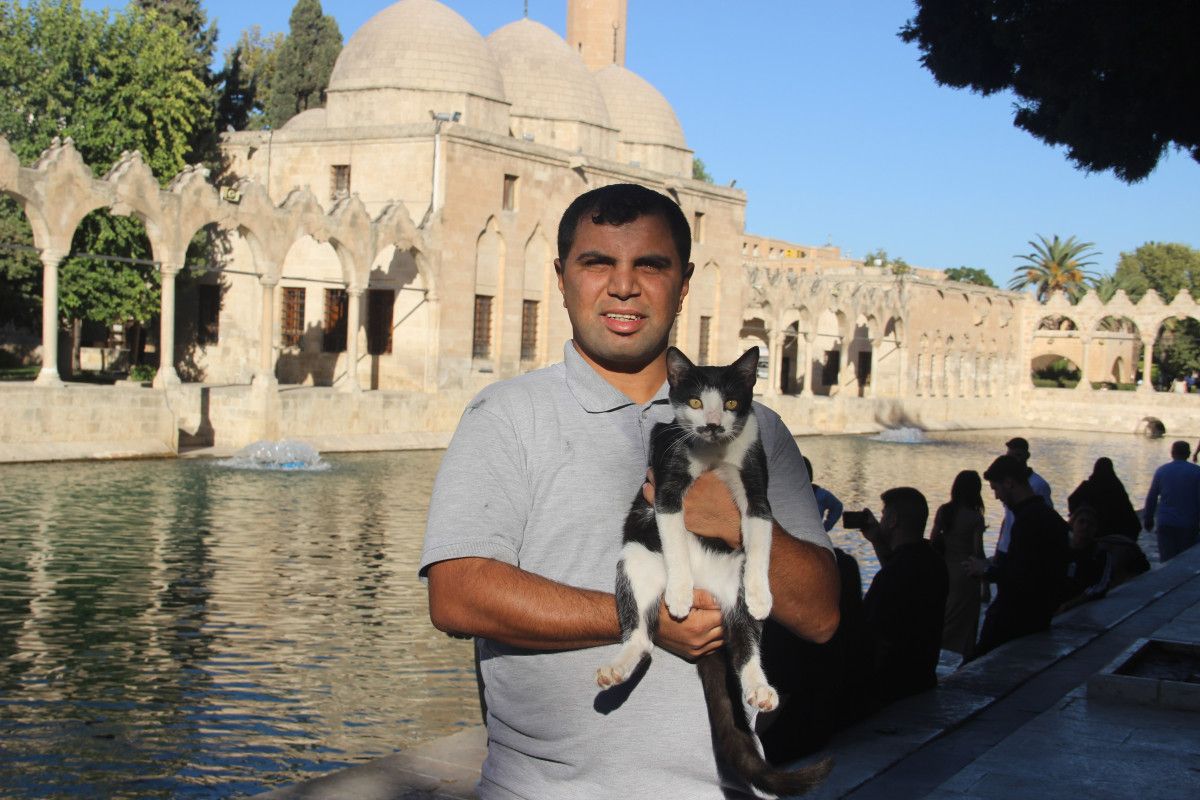 sanliurfada golete dusen kedi kalp masajiyla hayata tutundu 2 QZKaTDsw