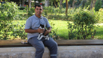 sanliurfada golete dusen kedi kalp masajiyla hayata tutundu uwHLacDK