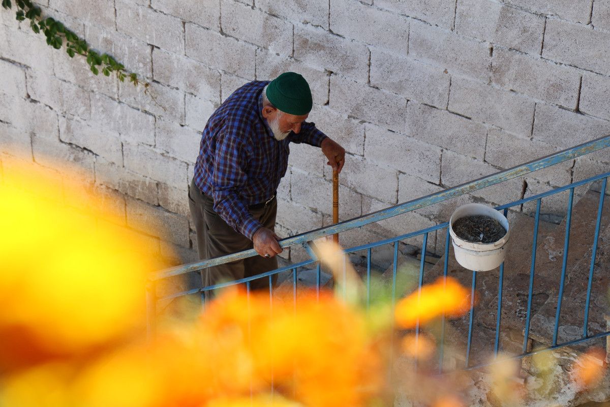 sivasta 95 yasindaki yasli adam sagligini sut urunleri ile koruyor 5 m6YwSBFI