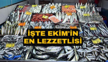 sonbahar baliklari ekim ayinda tuketmeniz gereken 4 balik KB3hsSBa