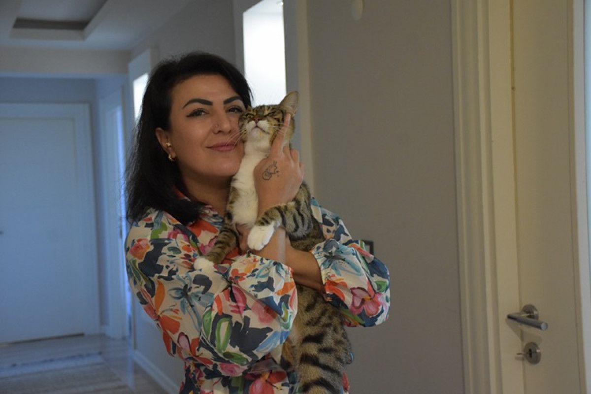 trabzonlu hayvanseverin bir kediyle baslayan sevgi yolculugu 2 Ckf3gwb5