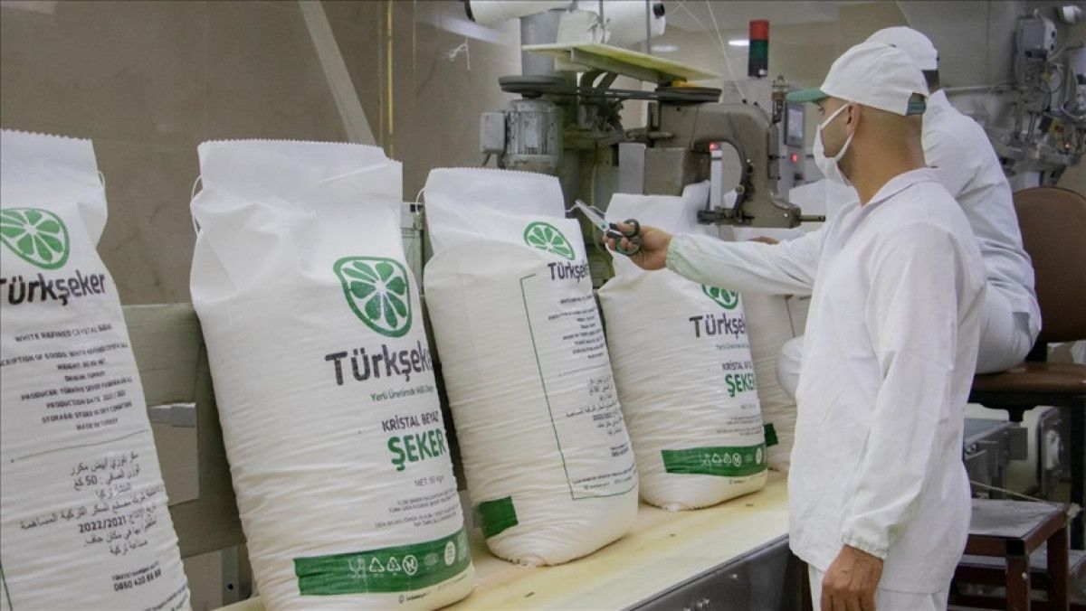 turksekerin seker pancari alim fiyati guncellendi 0 SI7Ejfn8