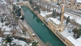 balikligol ve tarihi miras kar altinda sanliurfa beyaza burundu g1DqEnR1