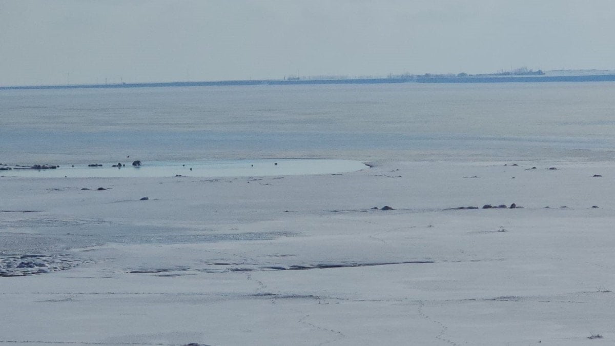 bitlis kus cenneti arin golu dondu 3 2Hv5UUTP