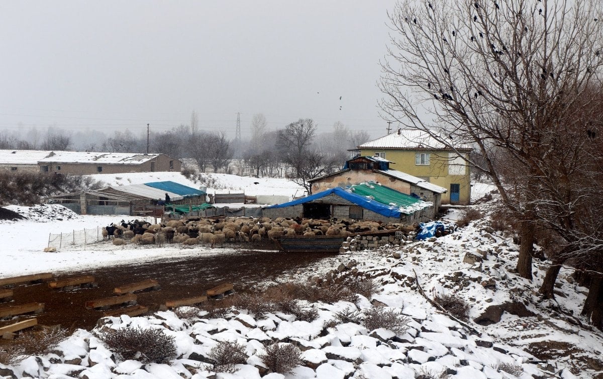 erzincan koylerinde kis mesaisi 0 ryaK6cvU