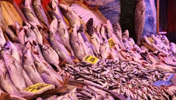 eskisehirde soguk havalar balik tezgahlarini da vurdu ECCbbQ9U